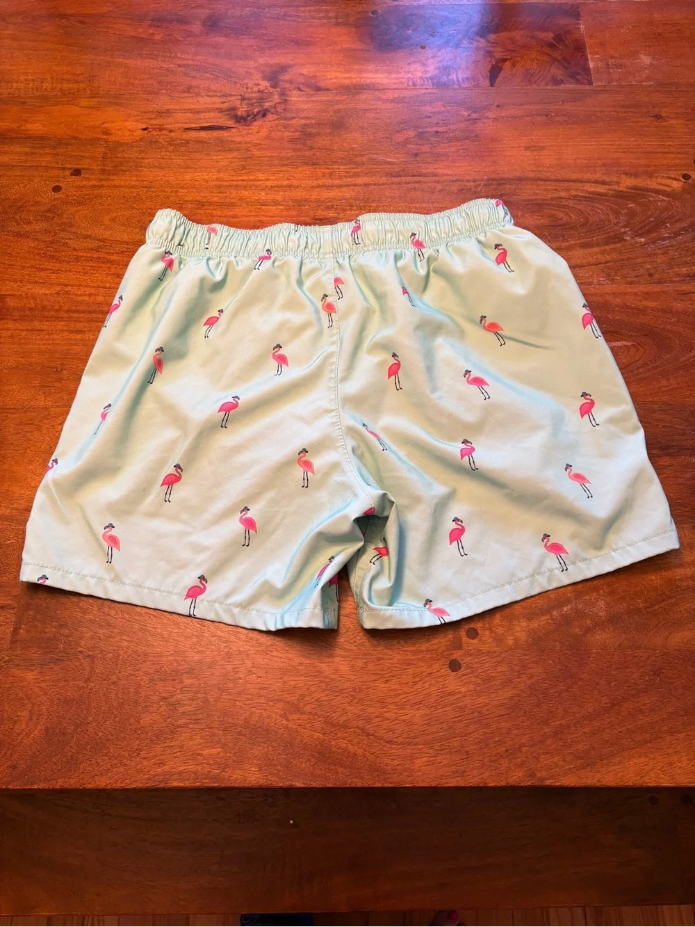 Hollister Men's Mint Green Flamingo Print Swim Trunks - Adult S